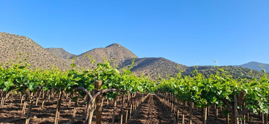 Nuestro Fundo imagen de whatsapp 2025 10 30 a las 16.15.07 04a1efc0