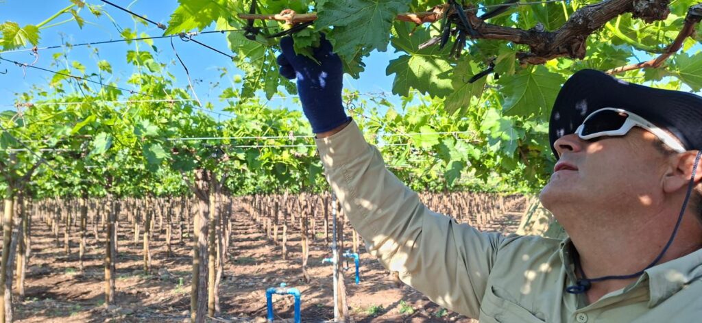 Nuestro Fundo imagen de whatsapp 2025 10 30 a las 16.15.07 291ef00d