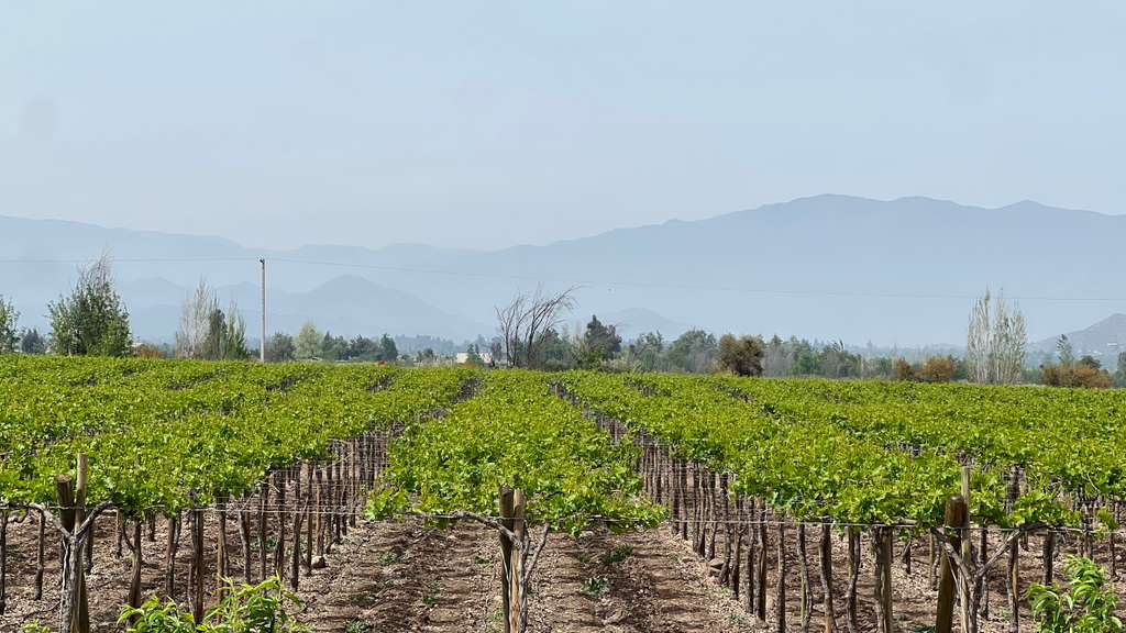 Nuestro Fundo imagen de whatsapp 2025 10 30 a las 16.15.07 8361b290