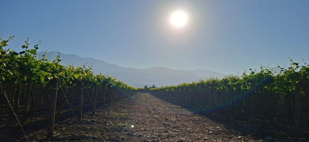 Nuestro Fundo imagen de whatsapp 2025 10 30 a las 16.15.08 6d2b264f